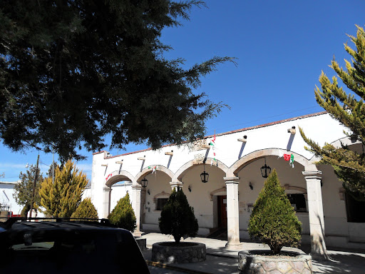 RIVA PALACIO PRESIDENCIA MUNICIPAL AYUNTAMIENTO 2021-2024